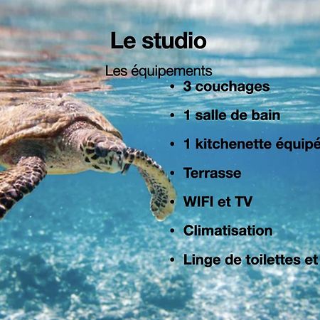 Studio Hippocampe P&V Сент-Люс Экстерьер фото
